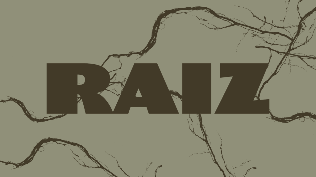 Raiz Estudio